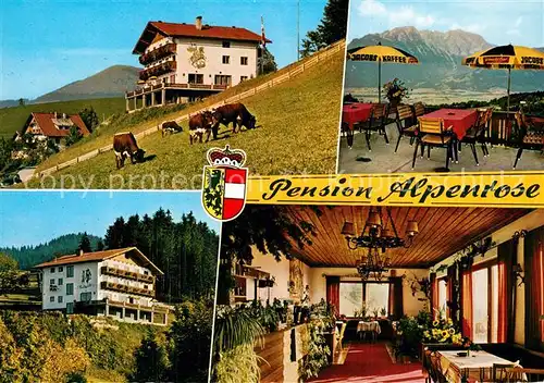 AK / Ansichtskarte St_Koloman Gasthof Pension Alpenrose Terrasse Viehweide St_Koloman