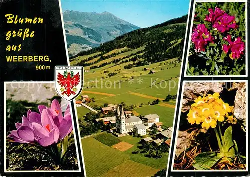 AK / Ansichtskarte Weerberg Fliegeraufnahme mit Kellerjoch Alpenflora Weerberg