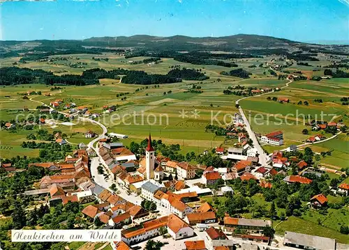 AK / Ansichtskarte Neukirchen_Walde Fliegeraufnahme Neukirchen Walde