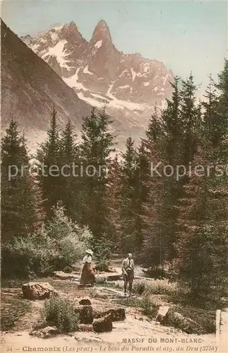 AK / Ansichtskarte Chamonix Le bois du Paradis et aig du Dru Massif du Mont Blanc Chamonix