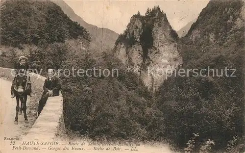 AK / Ansichtskarte Saint Pierre de Rumilly Petit Bernand Gorges des Evaus Roche de Boir Saint Pierre de Rumilly