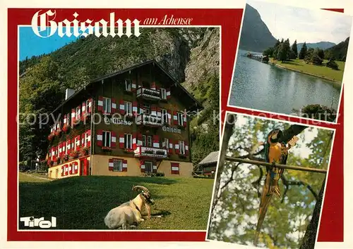 AK / Ansichtskarte Pertisau_Achensee Gaisalm  Pertisau Achensee