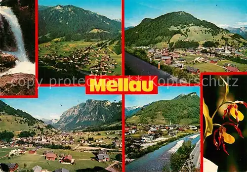 AK / Ansichtskarte Mellau_Vorarlberg Panorama Bregenzerwald Wasserfall Pflanzen Frauenschuh Mellau_Vorarlberg