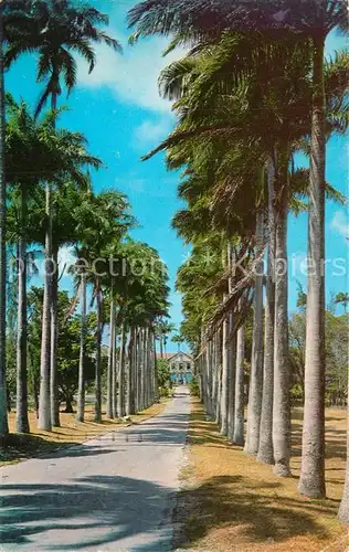 AK / Ansichtskarte Barbados Codrington College Barbados