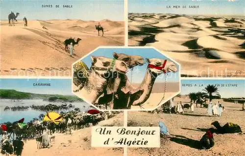 AK / Ansichtskarte Algiers Dunes de Sable Caravane Algiers