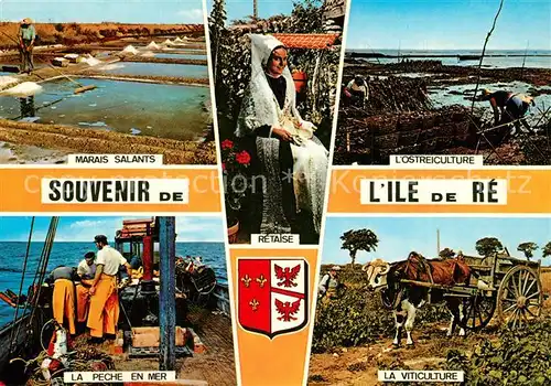 AK / Ansichtskarte Ile de Re Marais Salants Ostreiculture La Peche en Mer La Viticulture Ile de Re