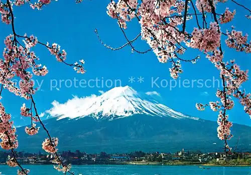 AK / Ansichtskarte Mount_Fuji and Cherry Blossoms Vulkan Mount_Fuji