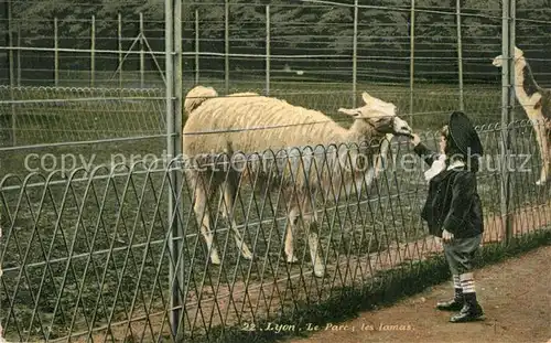 AK / Ansichtskarte Tiere Lama Lyon Parc  