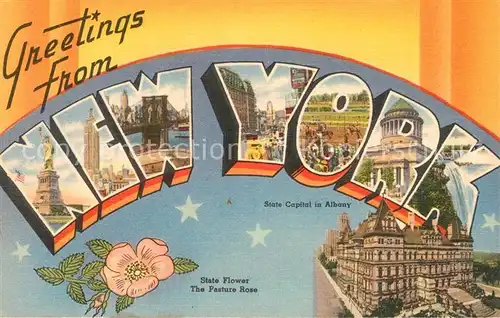 AK / Ansichtskarte New_York_City Scenic vies of the city State Flower Pasture Rose State Capital in Albany New_York_City