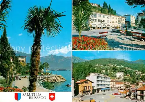 AK / Ansichtskarte Brissago_Lago_Maggiore Uferstrasse Palmen Ortsmotive Brissago_Lago_Maggiore