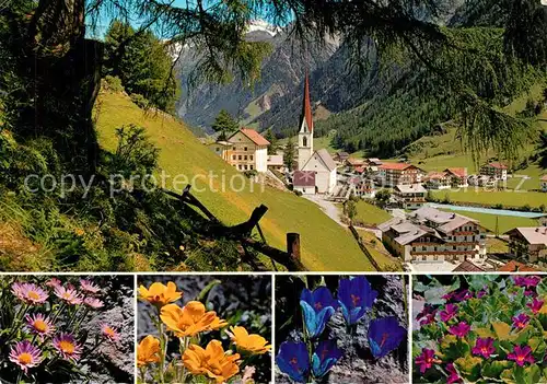 AK / Ansichtskarte Soelden_oetztal Panorama Alpiner Luftkurort Alpenflora oetztaler Alpen Soelden oetztal