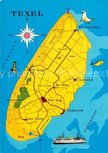 AK / Ansichtskarte Texel Landkarte Nordseeinsel Kompass Texel