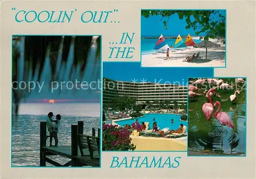 AK / Ansichtskarte Bahamas Sonnenuntergang Strand Flamingos Hotel Swimming Pool Bahamas