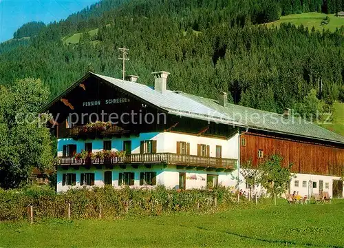 AK / Ansichtskarte Westendorf_Tirol Pension Schneeberg Westendorf_Tirol