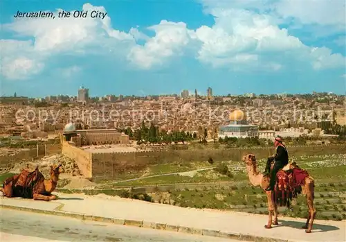 AK / Ansichtskarte Jerusalem_Yerushalayim Altstadt Blick vom Olivenberg Camelreiter Jerusalem_Yerushalayim