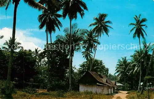 AK / Ansichtskarte Singapore The picture shows a typical malay kampong the rural area Singapore