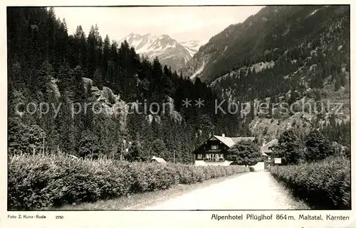 AK / Ansichtskarte Maltatal_Kaernten Alpenhotel Pfl?glhof Maltatal Kaernten