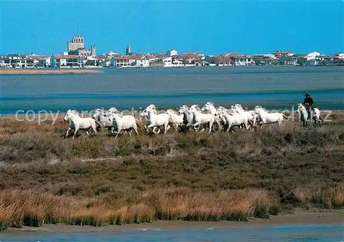 AK / Ansichtskarte Camargue Manade aux Saintes Maries de la Mer Camargue