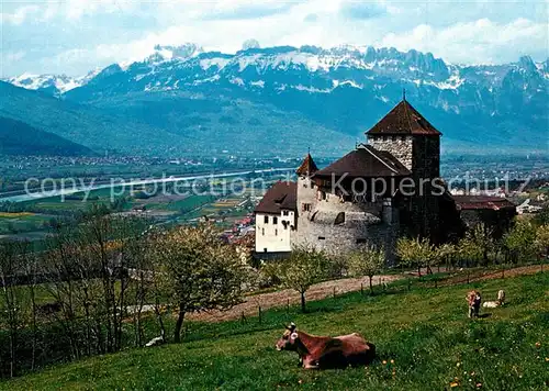 AK / Ansichtskarte Vaduz Schloss Rheintal Kreuzberge Vaduz