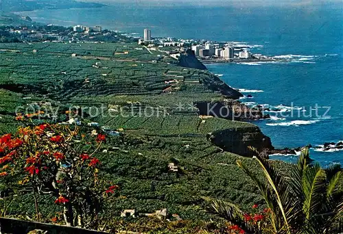 AK / Ansichtskarte Tenerife Valle de la Orotava Tenerife