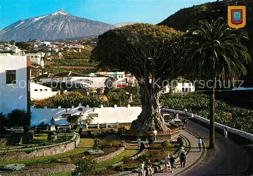 AK / Ansichtskarte Icod_de_los_Vinos El Drago Milenario Icod_de_los_Vinos