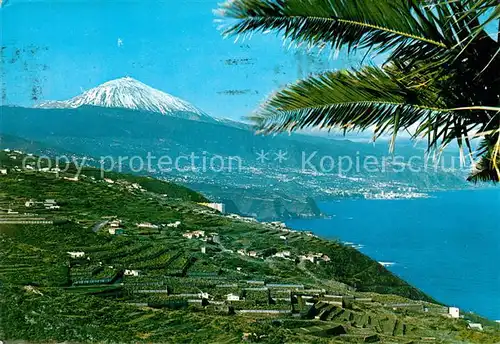 AK / Ansichtskarte Puerto_de_la_Cruz Paseije con Teide Puerto_de_la_Cruz