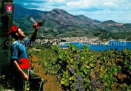 AK / Ansichtskarte Banyuls sur Mer Vue generale depuis les coteaux surplombant la baie Banyuls sur Mer
