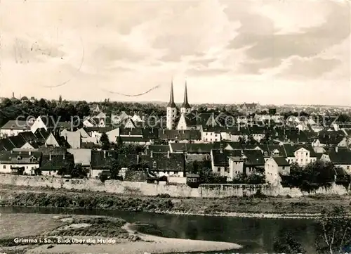 AK / Ansichtskarte Grimma Panorama Blick ueber die Mulde Grimma