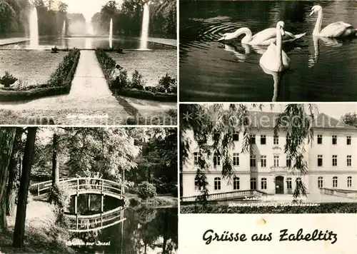 AK / Ansichtskarte Zabeltitz Barockpark Spiegelteich Bruecke zur Insel Schwanenteich Institut Zabeltitz