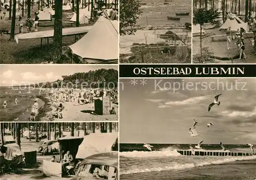 AK / Ansichtskarte Lubmin_Ostseebad Zeltplatz Badestrand Moewen Lubmin_Ostseebad