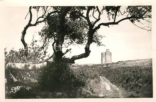 AK / Ansichtskarte Saint Jacut de la Mer Au loin la Tour des Ebihiens Saint Jacut de la Mer