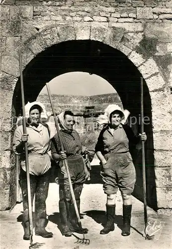 AK / Ansichtskarte Ile_d_Oleron Le Retour des Parcs Ile_d_Oleron