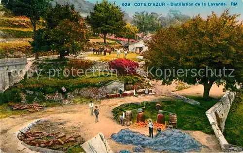 AK / Ansichtskarte Grasse_Alpes_Maritimes Distillation de la Lavande Grasse_Alpes_Maritimes