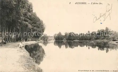 AK / Ansichtskarte Auxerre L Arbre Sec Auxerre