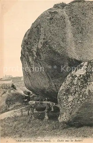 AK / Ansichtskarte Tregastel Etable sous les Rochers Tregastel