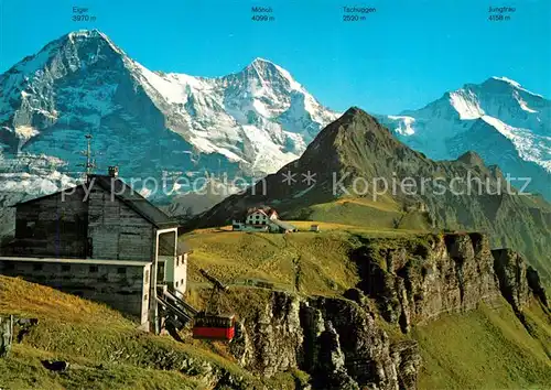 AK / Ansichtskarte Maennlichen mit Eiger Moench Tschuggen und Jungfrau Maennlichen