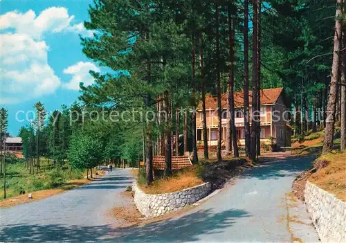 AK / Ansichtskarte Sila_Calabria Teilansicht 