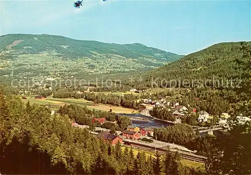 AK / Ansichtskarte Hallingdal Bergensbanen Hallingdal