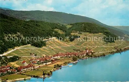 AK / Ansichtskarte Twann Fliegeraufnahme Seepartie Twann