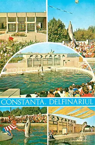 AK / Ansichtskarte Constanta Delfinariul Constanta