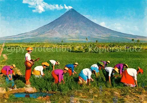 AK / Ansichtskarte Landwirtschaft Pagtatanim NG Palay Rice planting Guitar music 