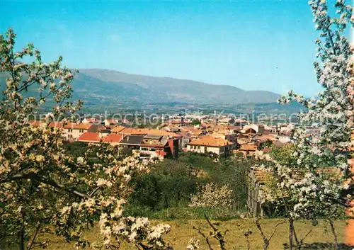 AK / Ansichtskarte Fundao Panorama Primavera Fruehling Baumbluete Fundao