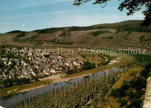 AK / Ansichtskarte Puenderich_Mosel Panorama Blick von der Marienburg Weinberge Puenderich Mosel