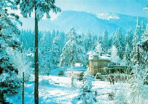 AK / Ansichtskarte Borovez Pessako Ferienrestors Winterimpressionen Wintersportplatz Borovez