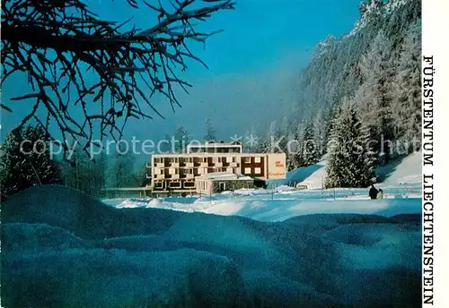 AK / Ansichtskarte Triesenberg Alphotel Gaflei  Triesenberg