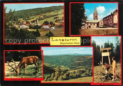 Langfurth_Ansbach Panorama Kirche Hirsch im Nationalpark Im Sonnenwald Langfurth Ansbach