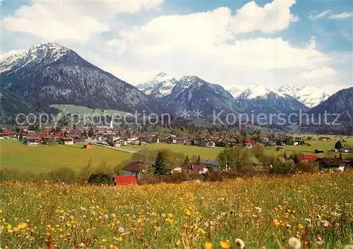 Oberstdorf Panorama mit Oberstdorfer Bergen Oberstdorf