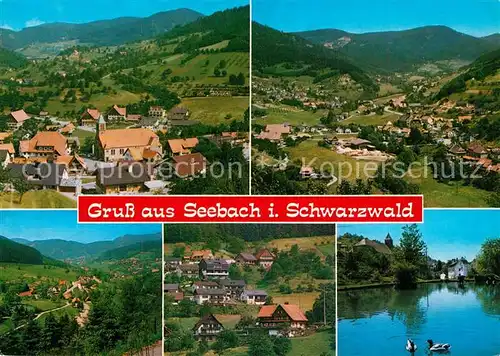 AK / Ansichtskarte Seebach_Ortenaukreis Panorama Seepartie Seebach Ortenaukreis