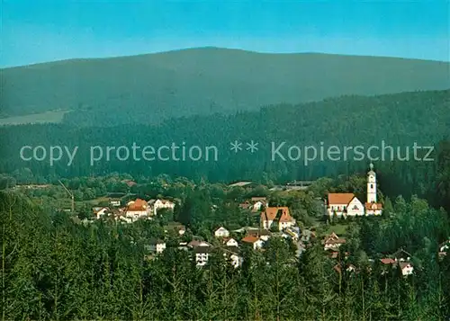 AK / Ansichtskarte Bayerisch_Eisenstein Panorama Bayerisch_Eisenstein