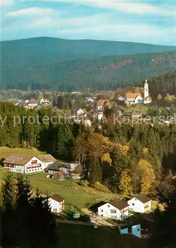 AK / Ansichtskarte Bayerisch_Eisenstein Panorama Bayerisch_Eisenstein